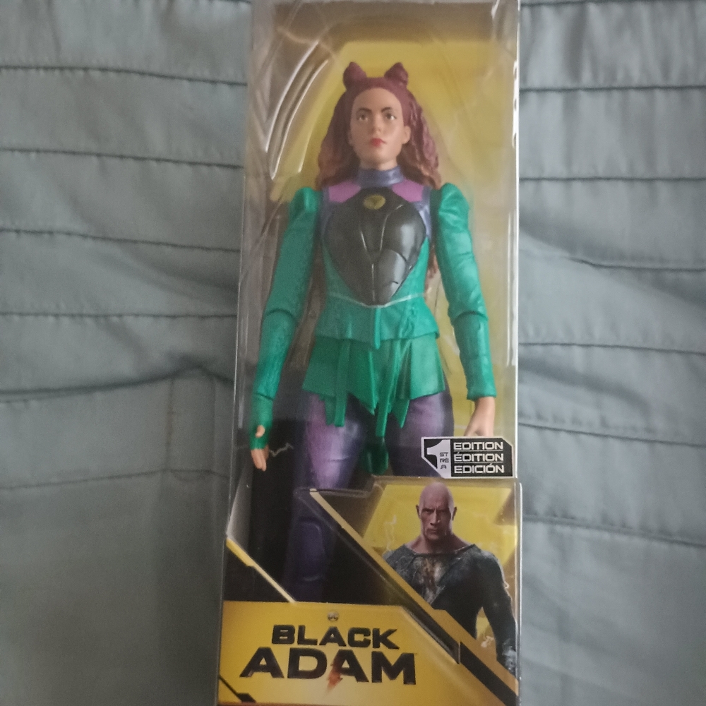 12 inch action figures and Funko Pops(Black Adam and Justice Society.) - Picture 11 of 13